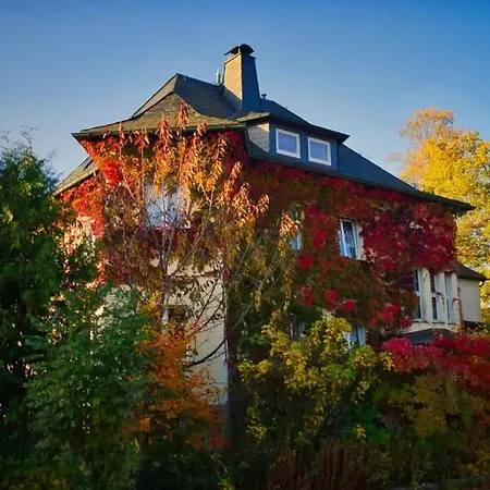 Nachhaltige, Veganfreundliche Direkt Am Bergbaulehrpfad In Apartamento Schneeberg (Saxony)