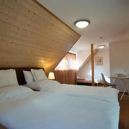 Nachhaltige, Veganfreundliche Direkt Am Bergbaulehrpfad In * Schneeberg (Saxony)